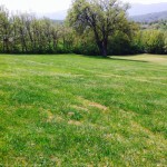 image (3)