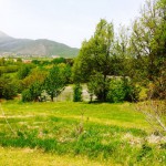 image (5)